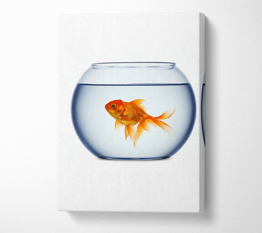  A Canvas Print of Goldfish Bowl Canvas Wall Art