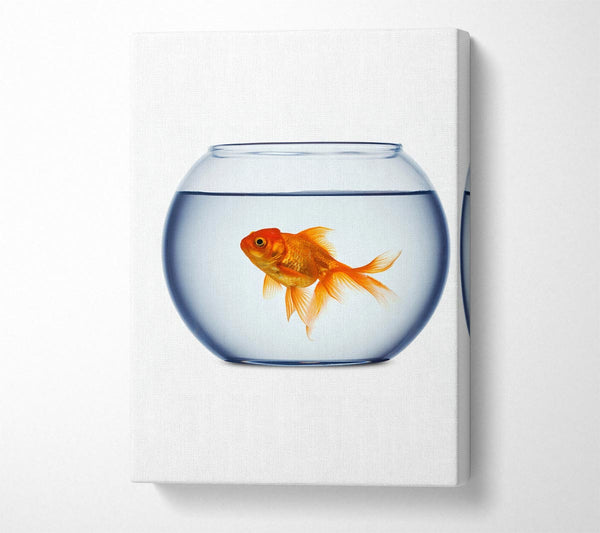  A Canvas Print of Goldfish Bowl Canvas Wall Art
