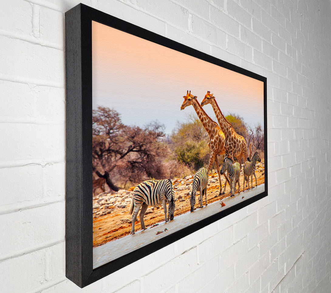  A Canvas Print of Safari Watering hole Canvas Wall Art