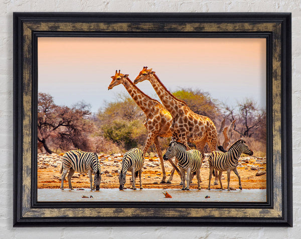 Safari Watering hole Framed Print