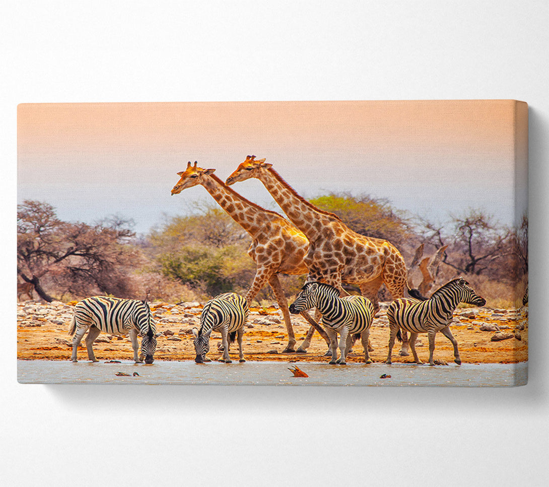  A Canvas Print of Safari Watering hole Canvas Wall Art
