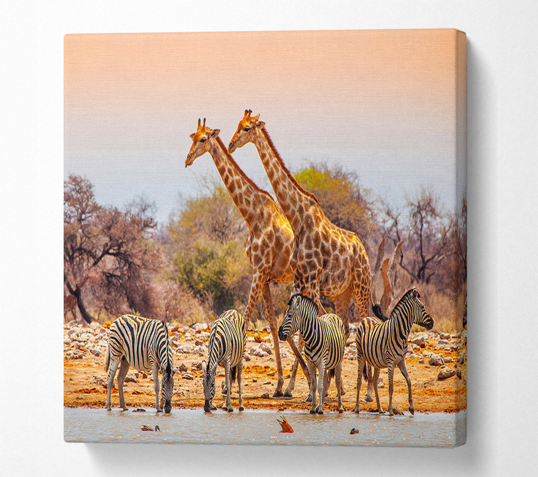  A Canvas Print of Safari Watering hole Canvas Wall Art