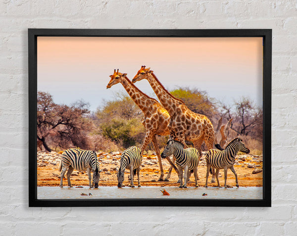 Safari Watering hole Framed Print