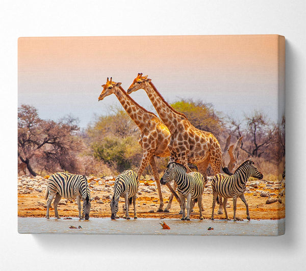  A Canvas Print of Safari Watering hole Canvas Wall Art