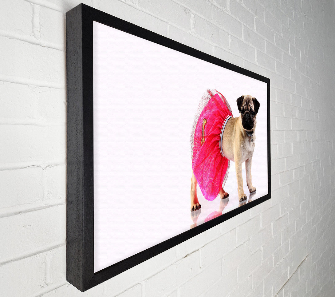  A Canvas Print of Pug Dog Tutu Canvas Wall Art