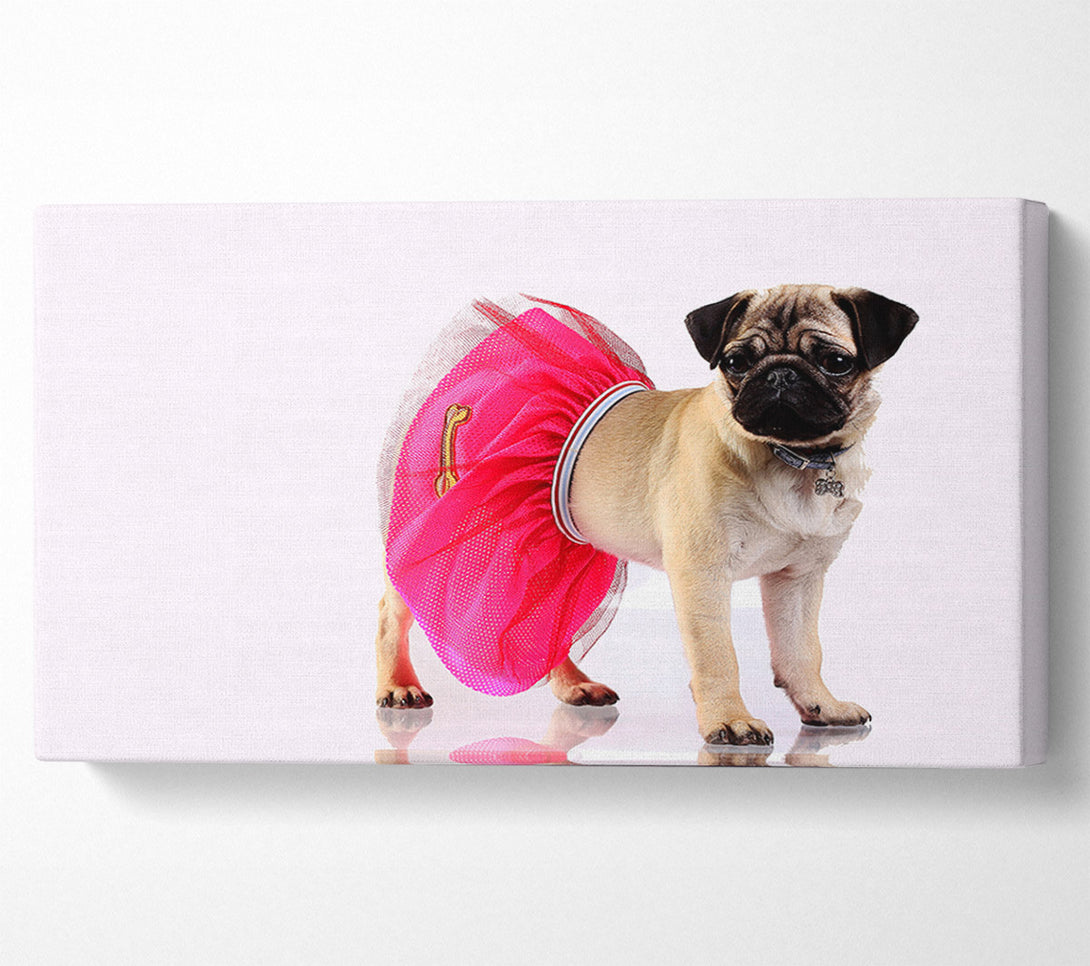  A Canvas Print of Pug Dog Tutu Canvas Wall Art
