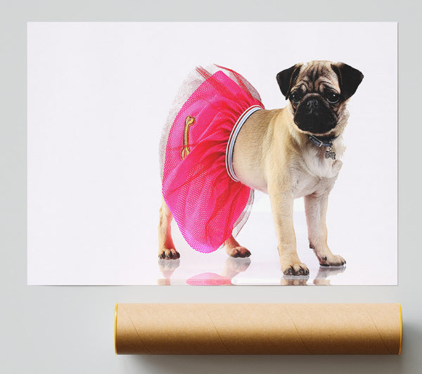 Pug Dog Tutu Print