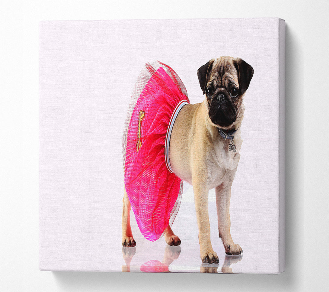  A Canvas Print of Pug Dog Tutu Canvas Wall Art