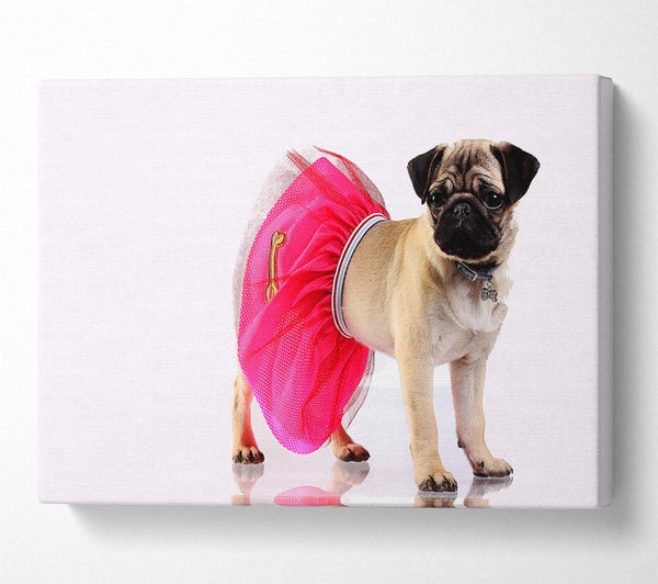  A Canvas Print of Pug Dog Tutu Canvas Wall Art
