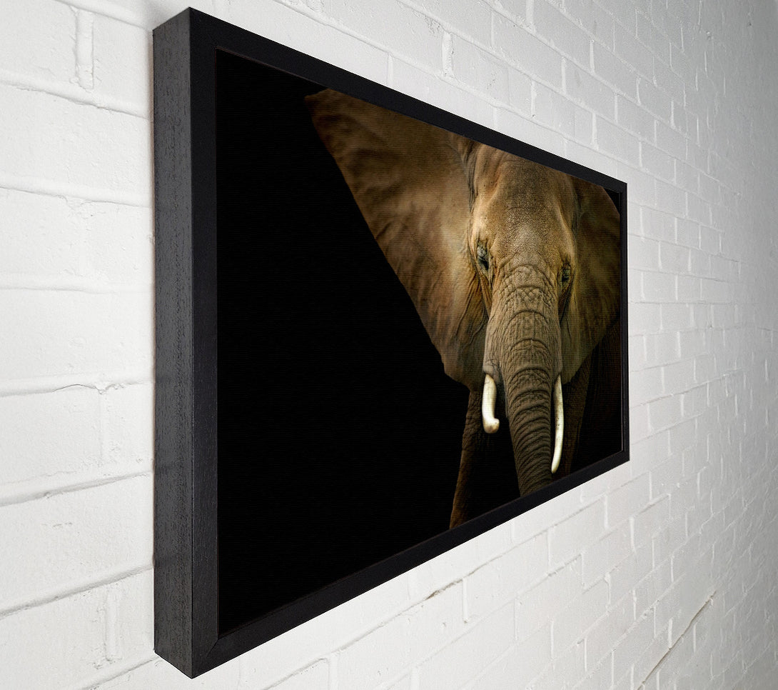  A Canvas Print of Stunning Elephant Face Canvas Wall Art