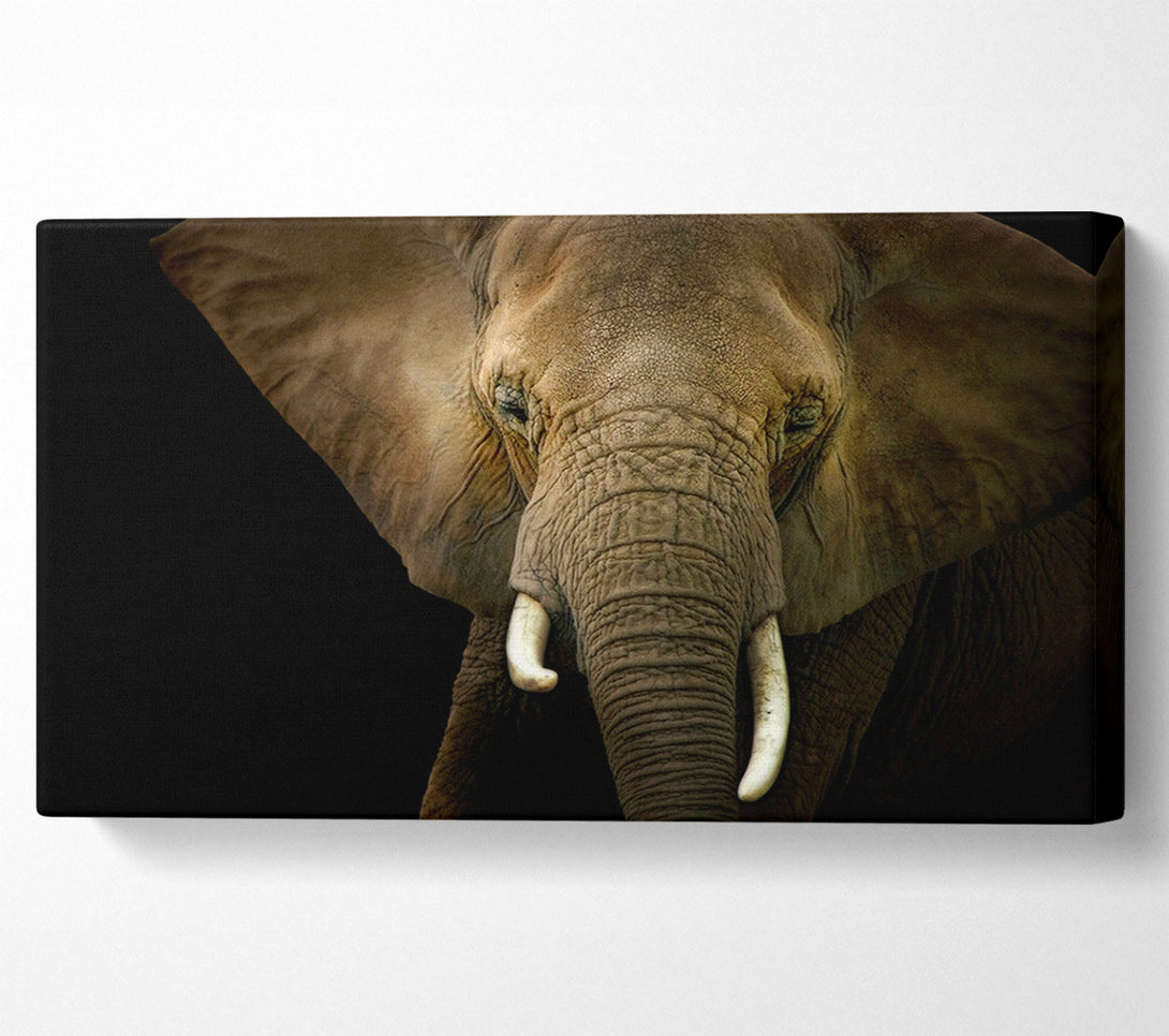  A Canvas Print of Stunning Elephant Face Canvas Wall Art