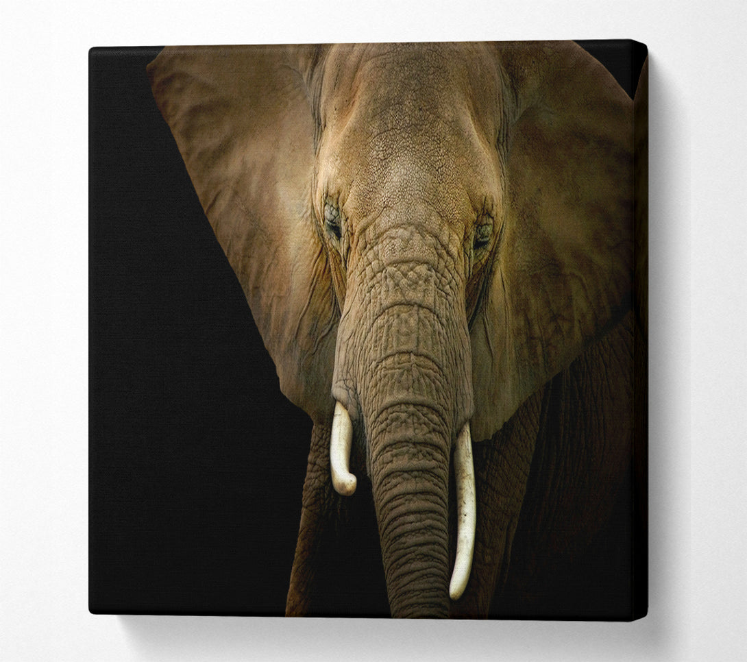  A Canvas Print of Stunning Elephant Face Canvas Wall Art