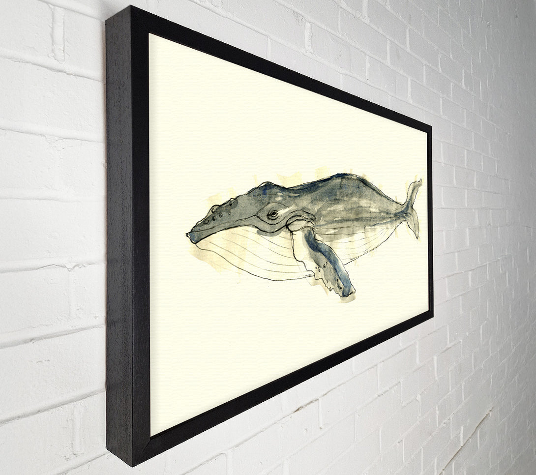  A Canvas Print of Humpback Whale Canvas Print