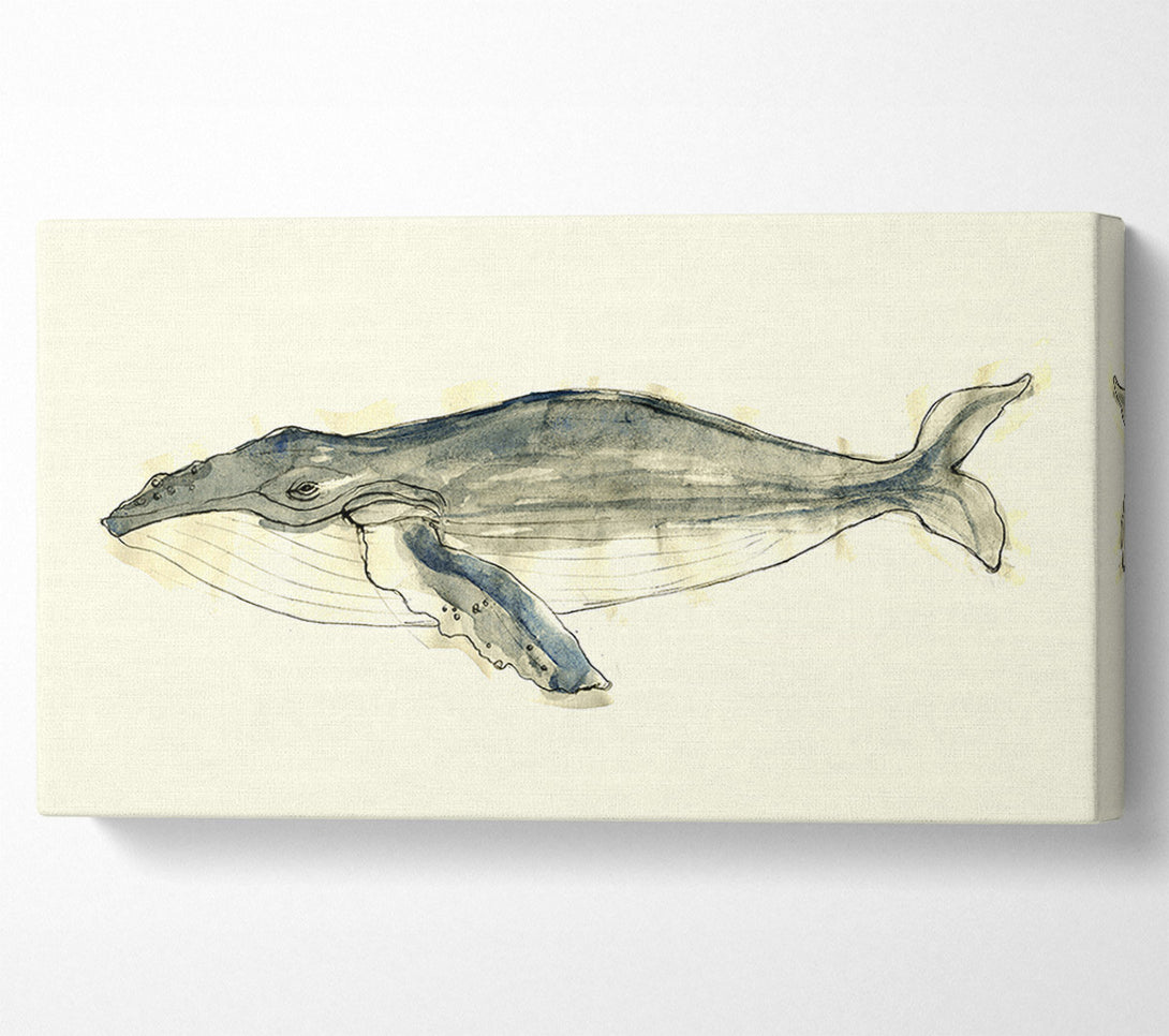  A Canvas Print of Humpback Whale Canvas Print
