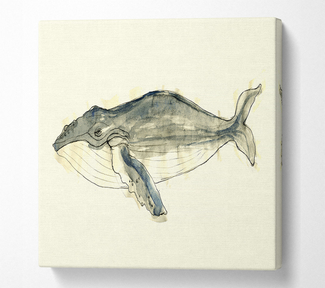  A Canvas Print of Humpback Whale Canvas Print