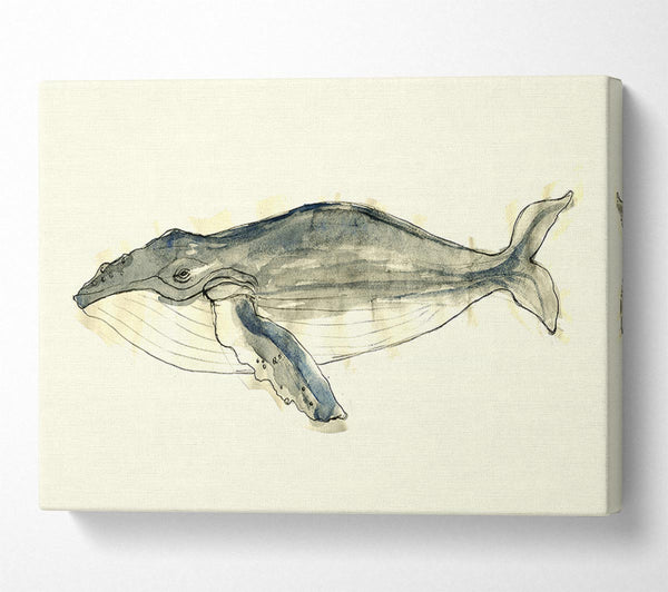  A Canvas Print of Humpback Whale Canvas Print
