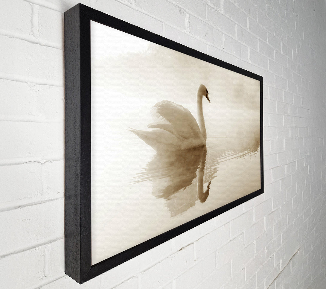  A Canvas Print of Lonesome Swan Canvas Print