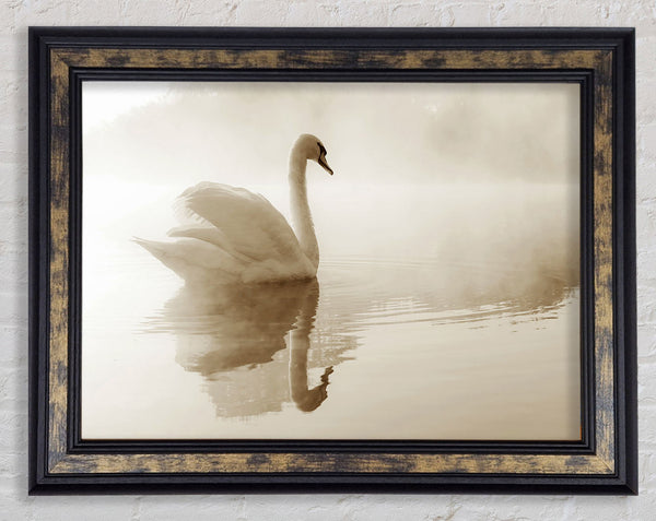 Lonesome Swan Framed Print