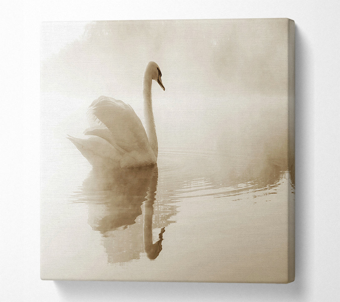  A Canvas Print of Lonesome Swan Canvas Print