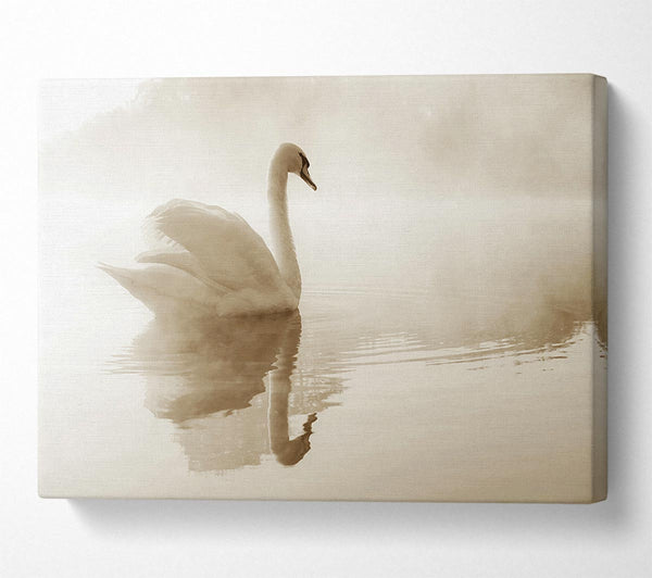  A Canvas Print of Lonesome Swan Canvas Print