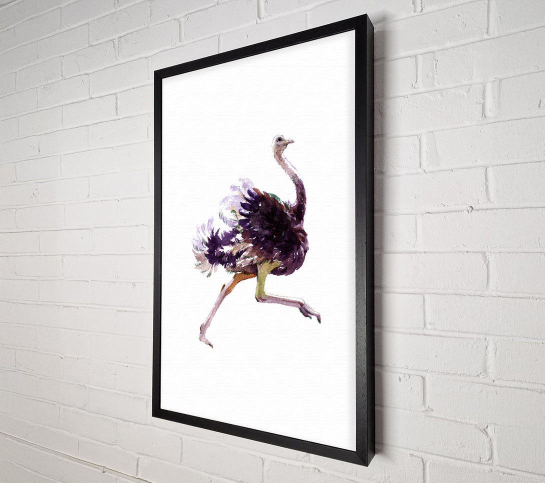  A Canvas Print of Ostrich Run Canvas Print