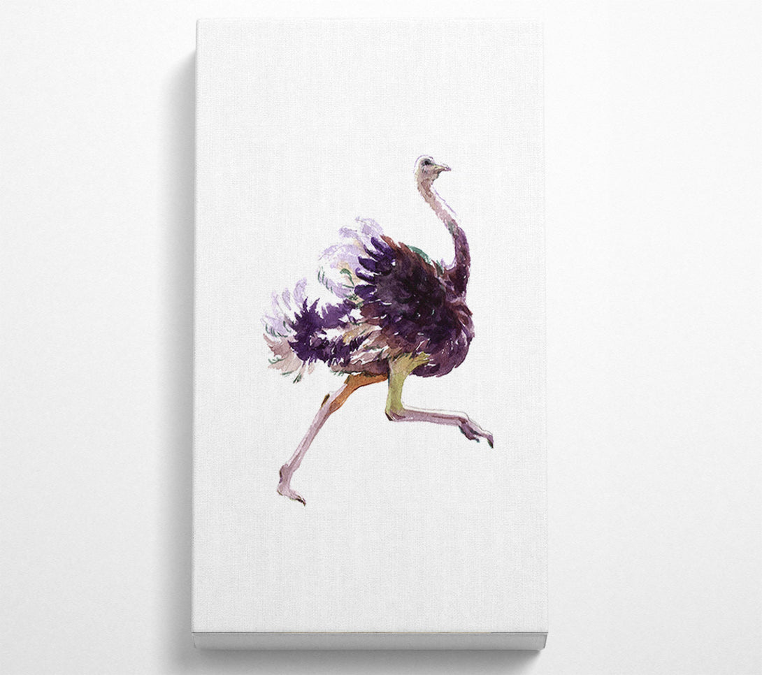 A Canvas Print of Ostrich Run Canvas Print