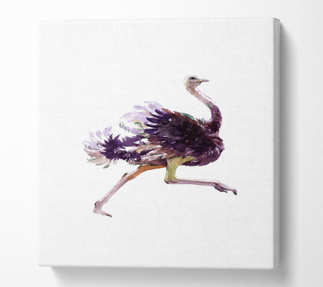  A Canvas Print of Ostrich Run Canvas Print