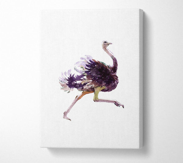  A Canvas Print of Ostrich Run Canvas Print