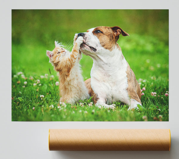 Cat No Dog Talk Print