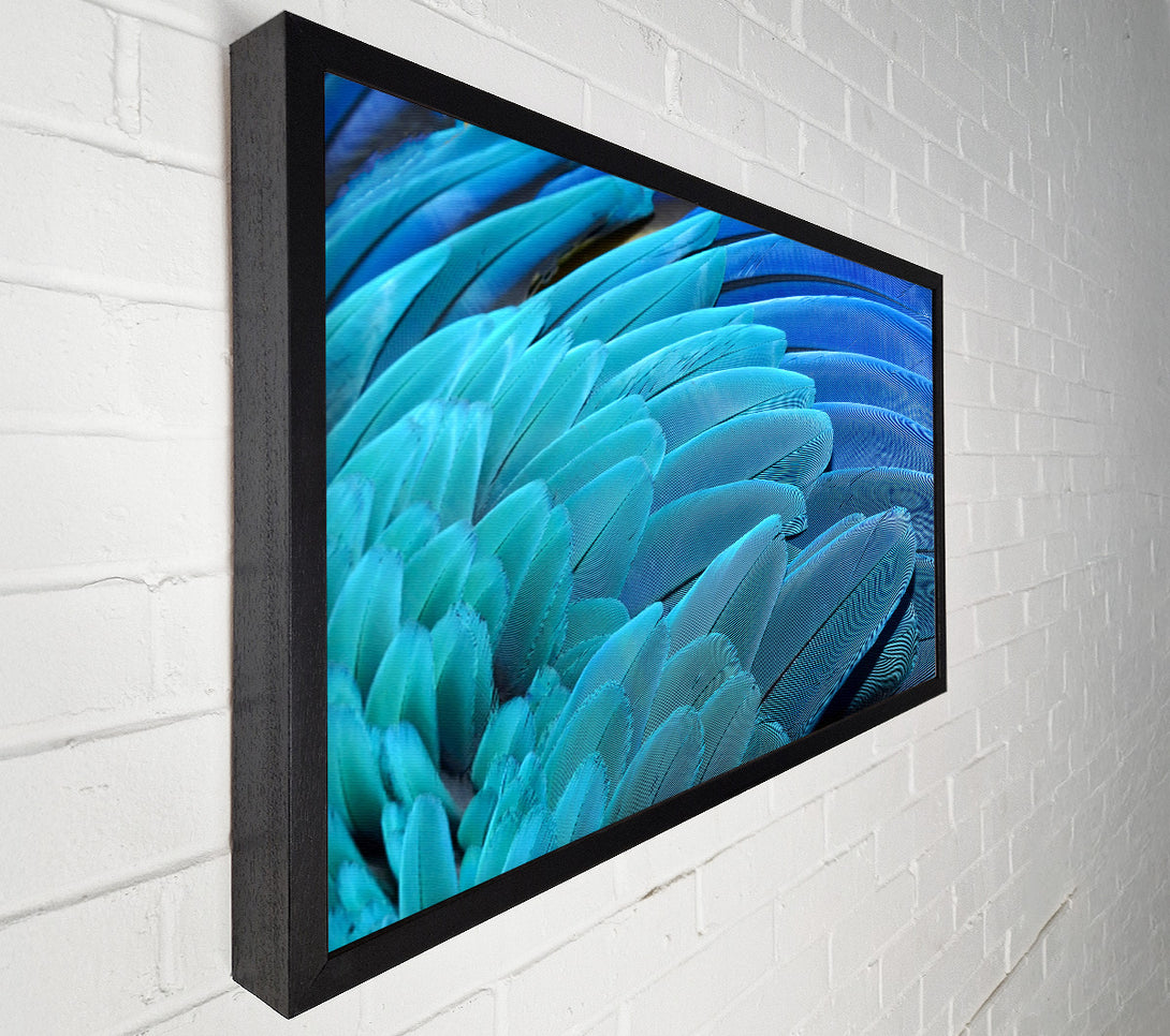  A Canvas Print of Parrot Feathers Canvas Wall Art