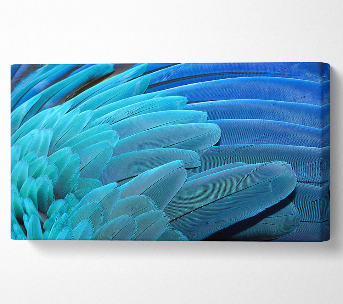  A Canvas Print of Parrot Feathers Canvas Wall Art