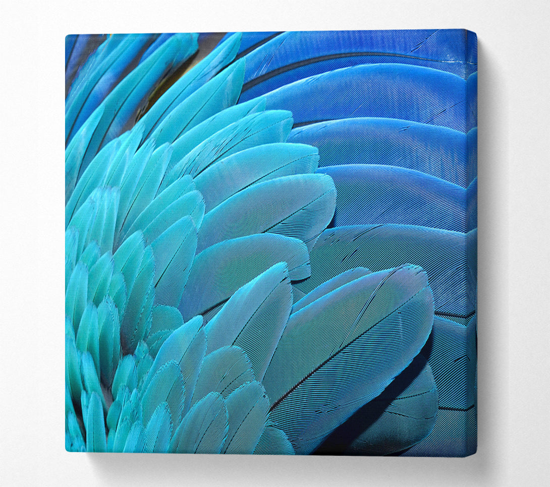 A Canvas Print of Parrot Feathers Canvas Wall Art