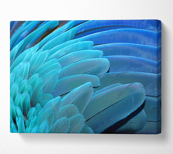  A Canvas Print of Parrot Feathers Canvas Wall Art