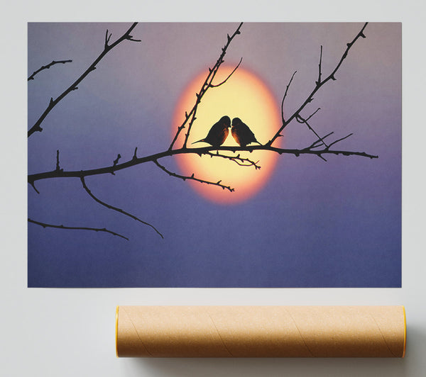 Love Bird Sunset Giclee Print
