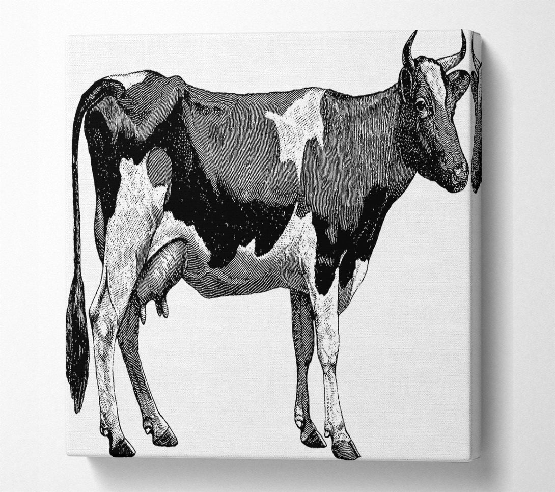  A Canvas Print of Mother Cow Canvas Art