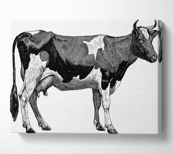  A Canvas Print of Mother Cow Canvas Art