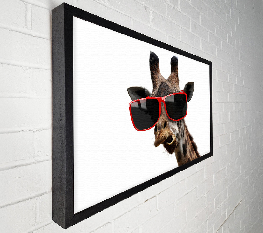  A Canvas Print of Funky Faced Giraffe Canvas Wall Art