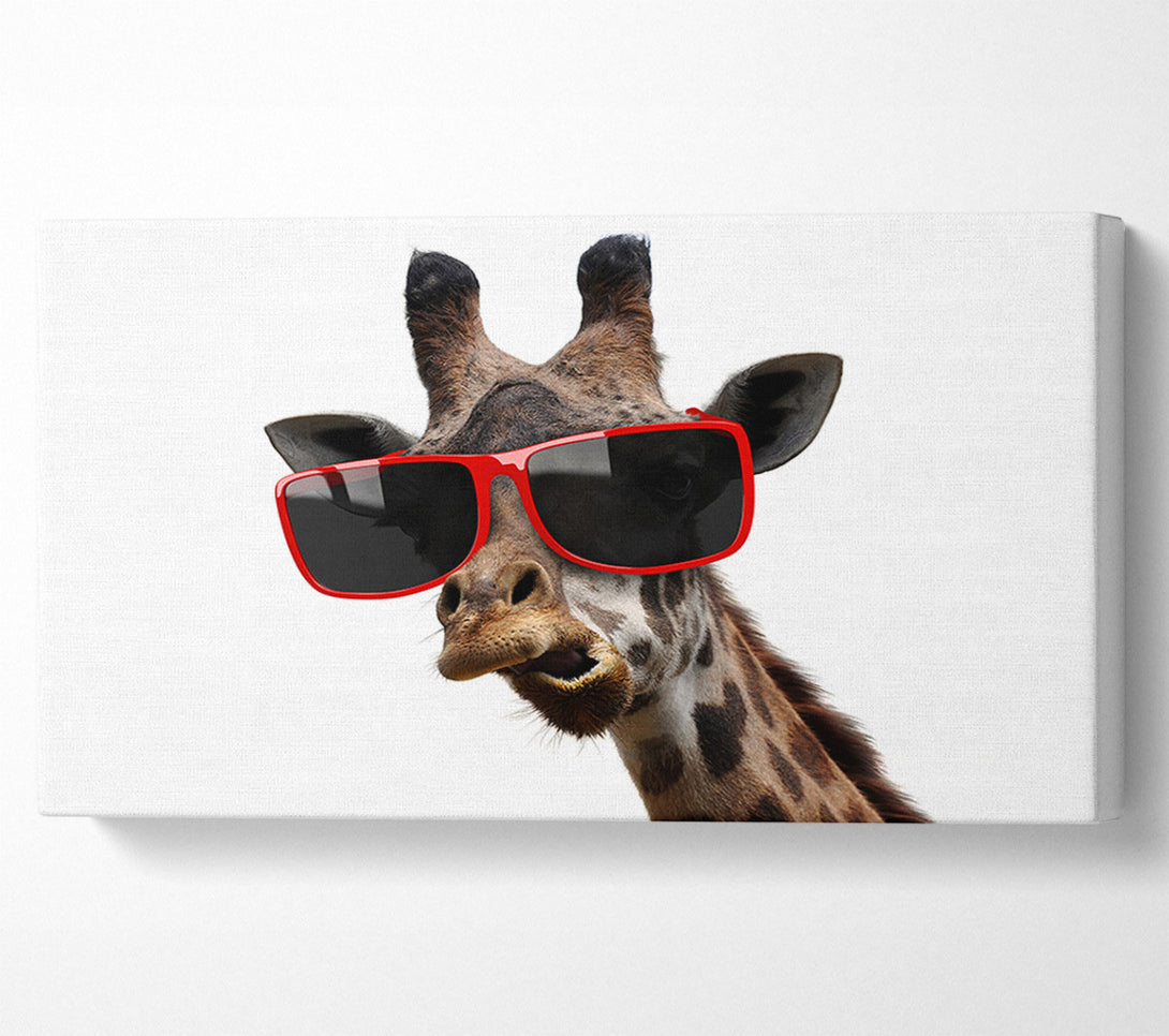  A Canvas Print of Funky Faced Giraffe Canvas Wall Art