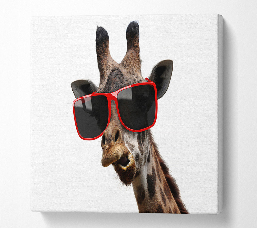  A Canvas Print of Funky Faced Giraffe Canvas Wall Art