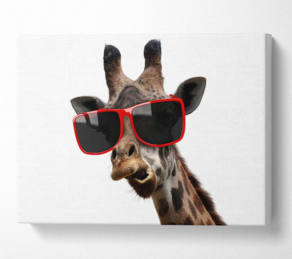  A Canvas Print of Funky Faced Giraffe Canvas Wall Art