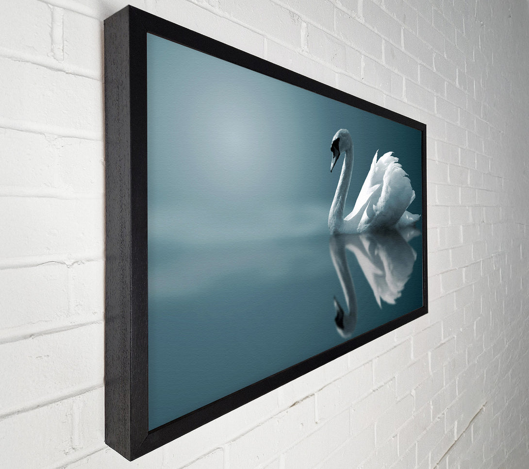  A Canvas Print of Swan Reflections Canvas Wall Art