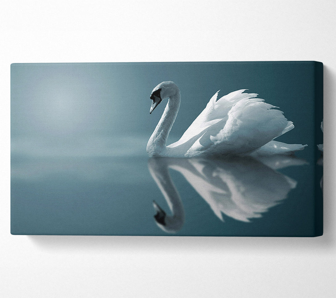  A Canvas Print of Swan Reflections Canvas Wall Art