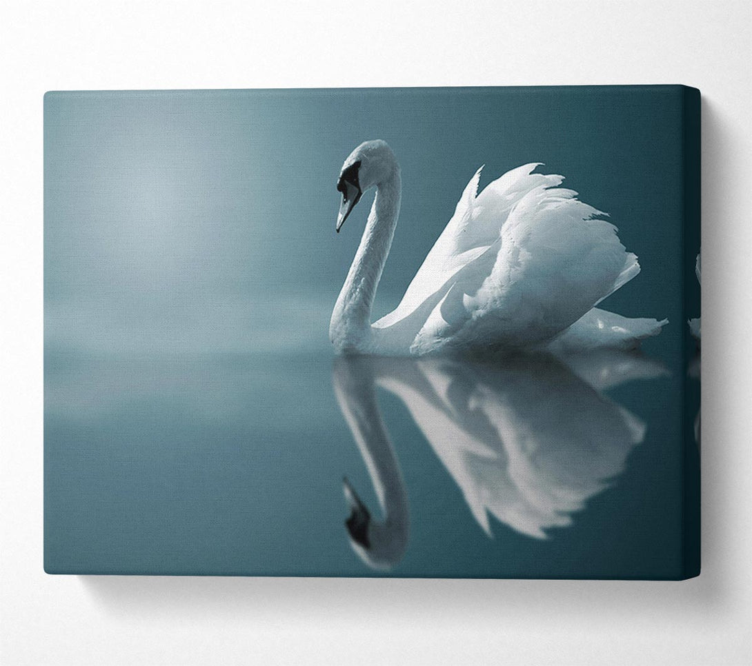  A Canvas Print of Swan Reflections Canvas Wall Art