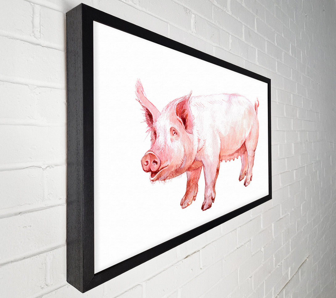  A Canvas Print of Mother Pig Canvas Print