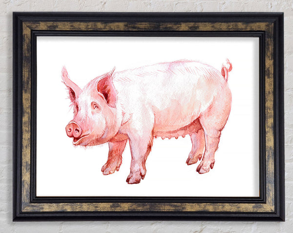 Mother Pig Framed Print