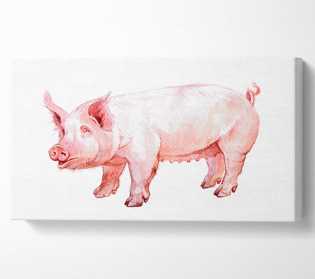  A Canvas Print of Mother Pig Canvas Print