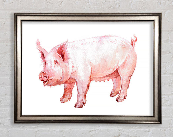 Mother Pig Framed Print