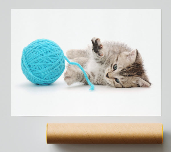 Kitten Cat Fun Print