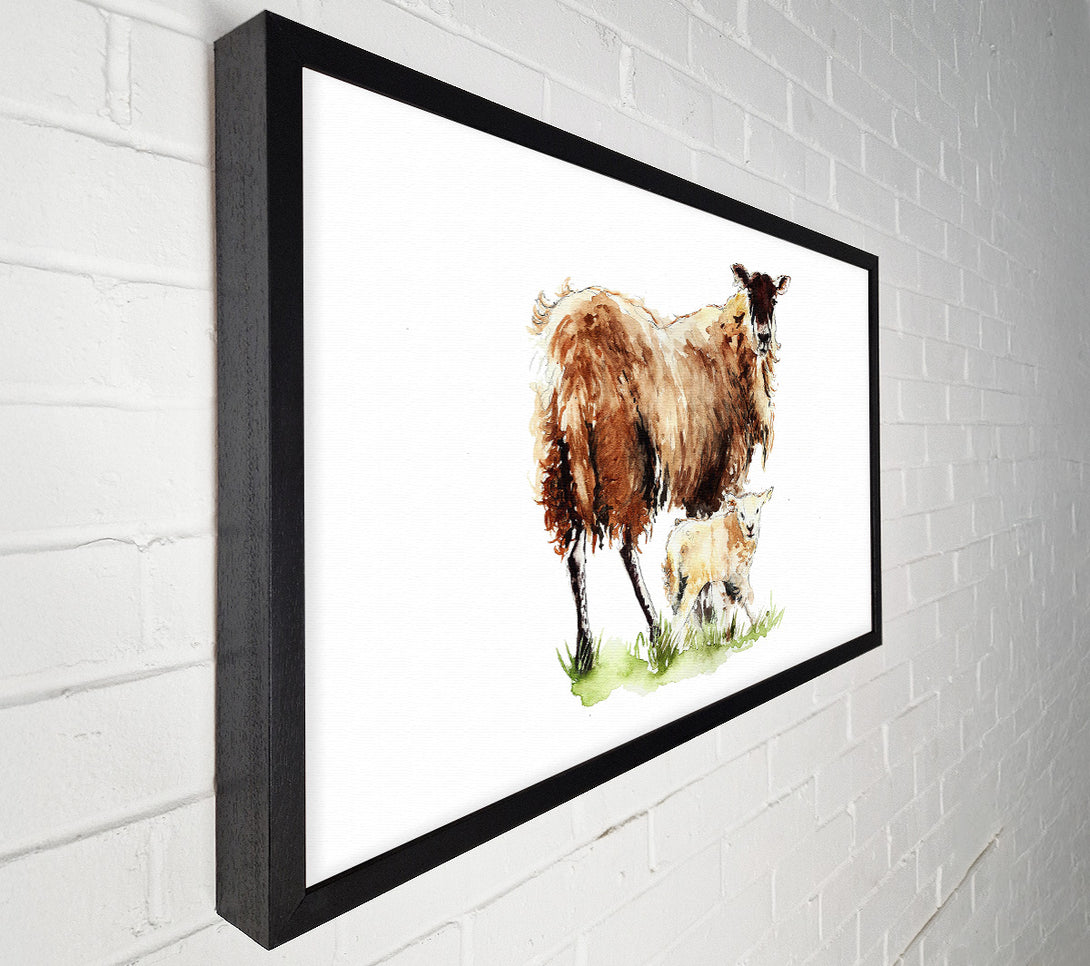  A Canvas Print of Mother and Baby Lambs Canvas Print