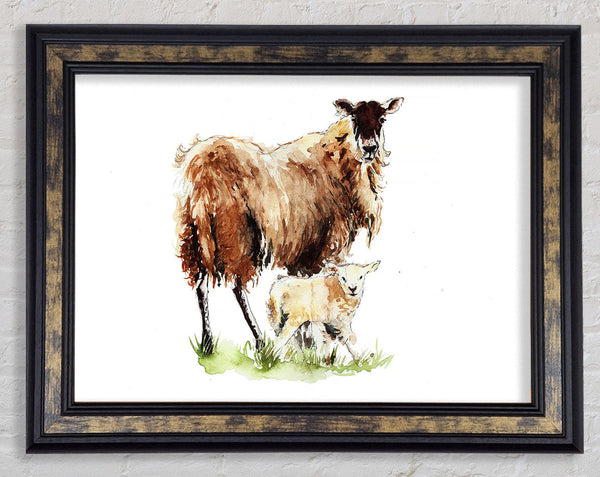 Mother and Baby Lambs Framed Print